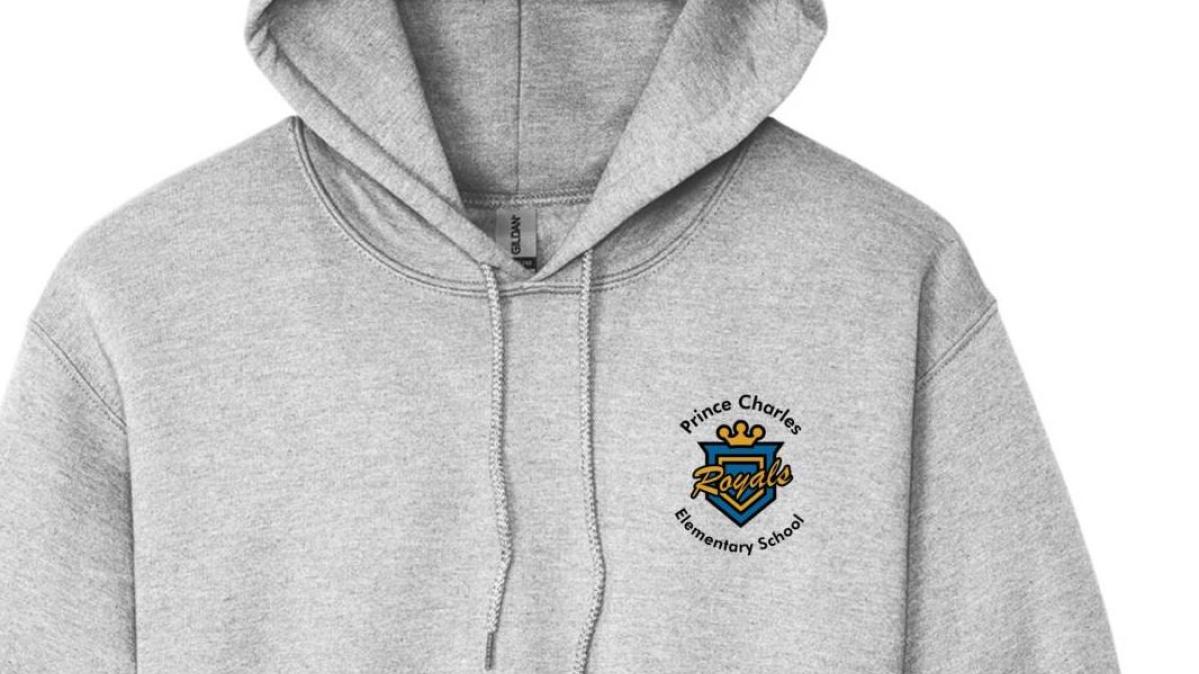 grey hoodie with the school logo on left chest