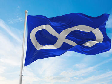 Metis Flag